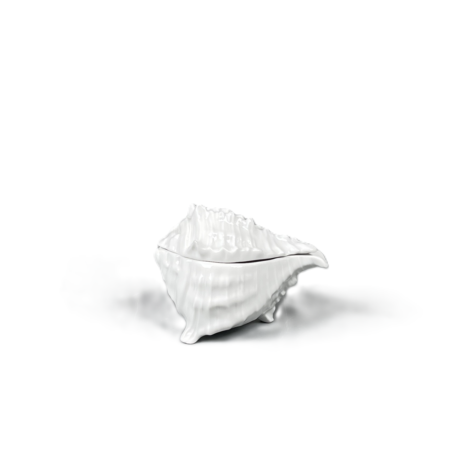 Muschelservice, Dose klein, weiß glasiert