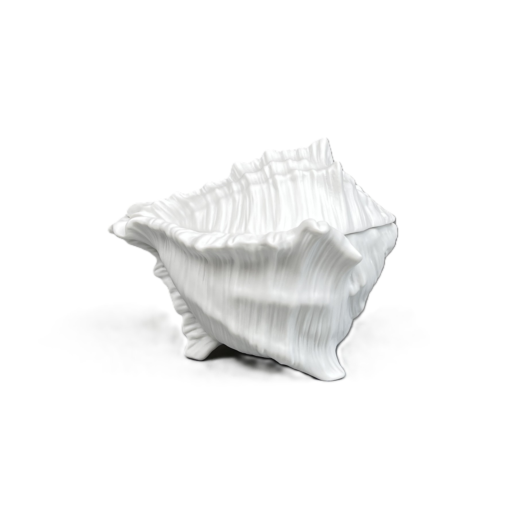 Muschelservice, Dose mit Deckel, teilglasiert