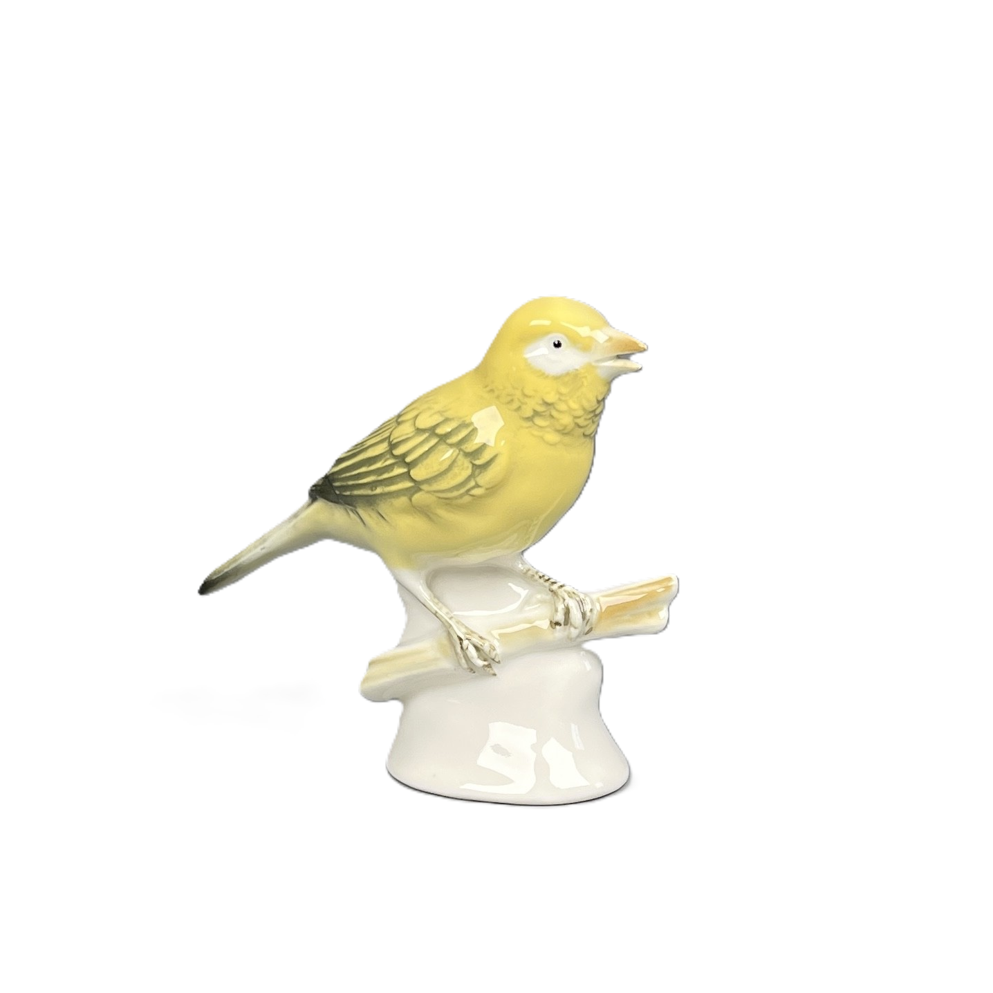Kanarienvogel