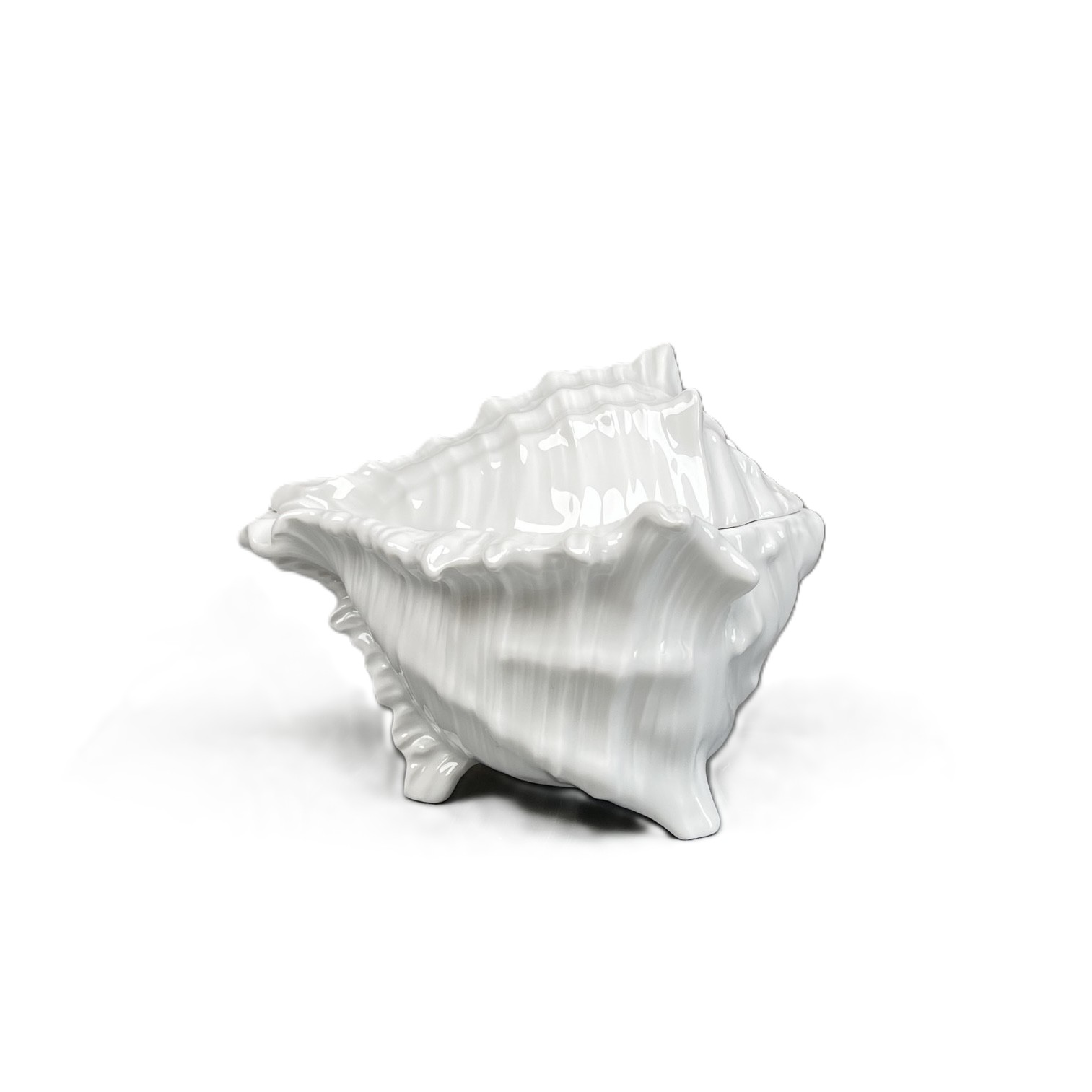 Muschelservice, Dose mit Deckel, weiß glasiert