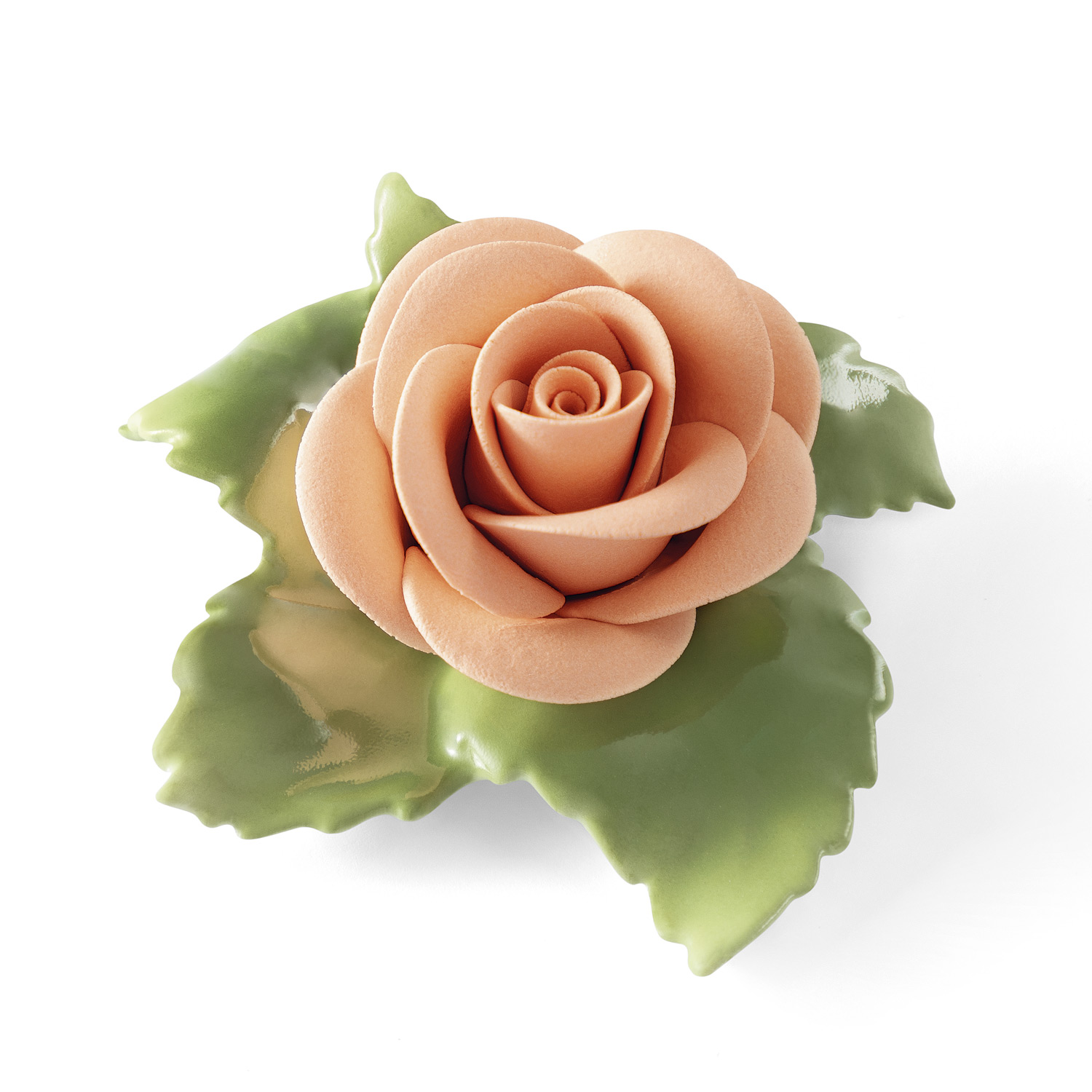 Rose (lachs) Rose (lachs)