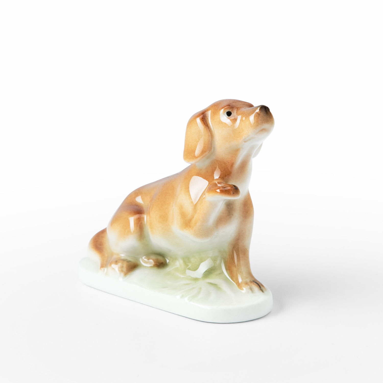 Hund Hund