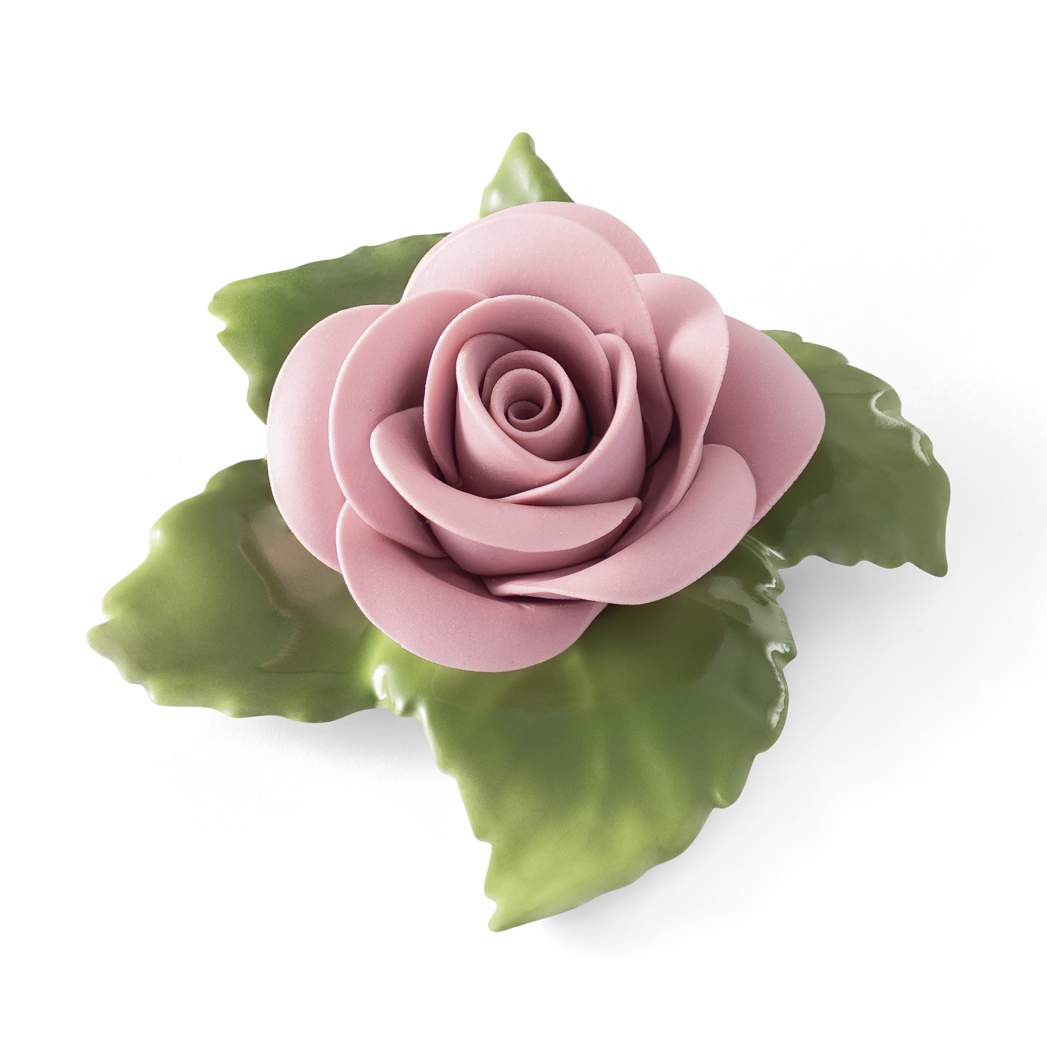 Rose (rosa) Rose (rosa)