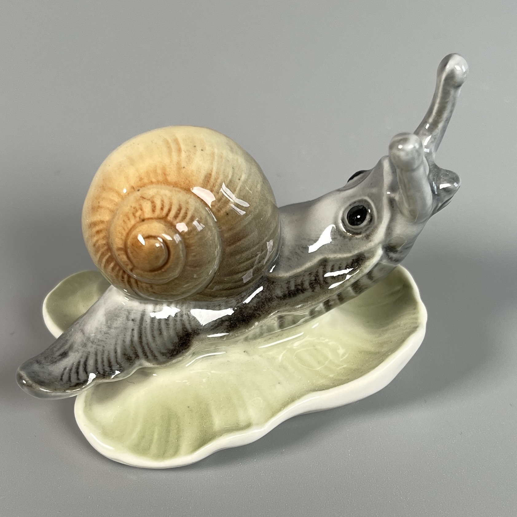 Schnecke