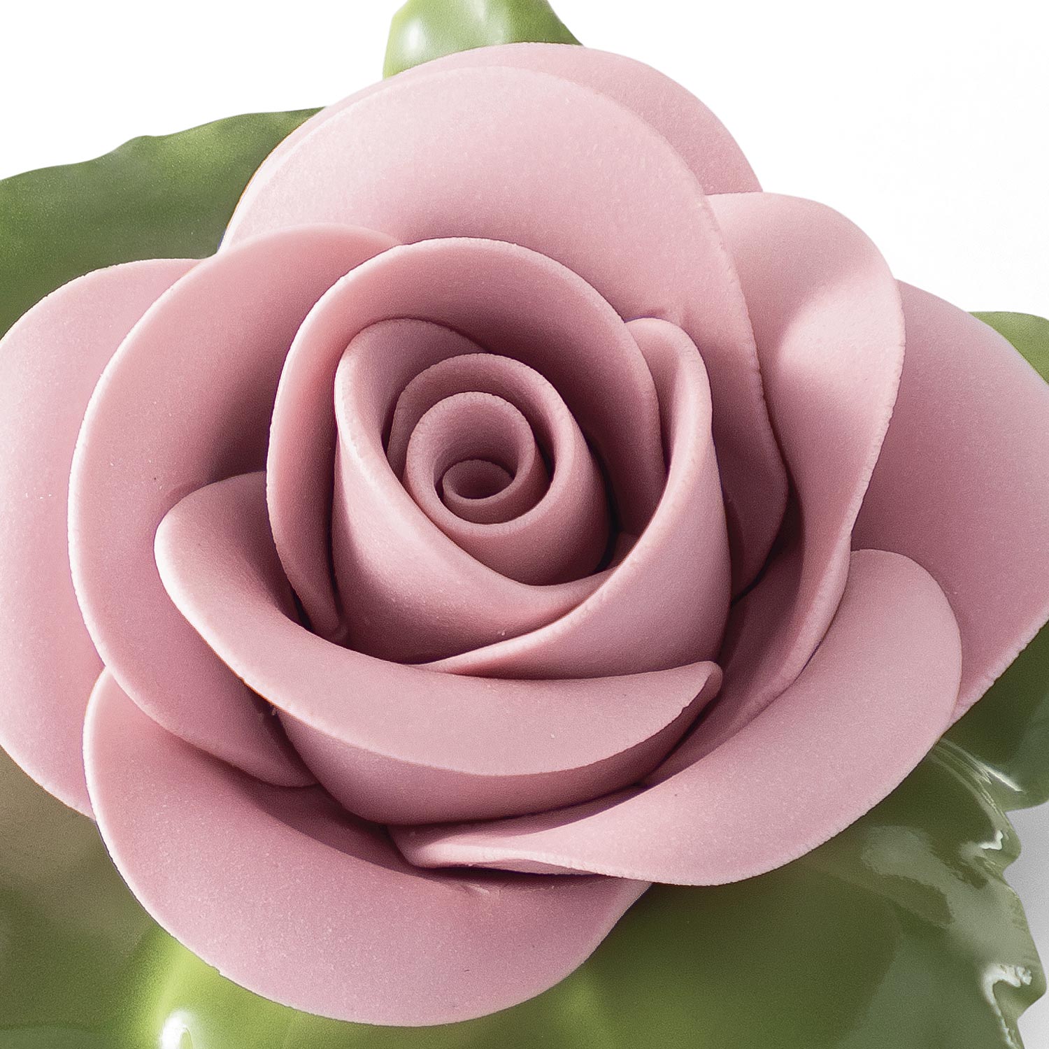 Rose (rosa)