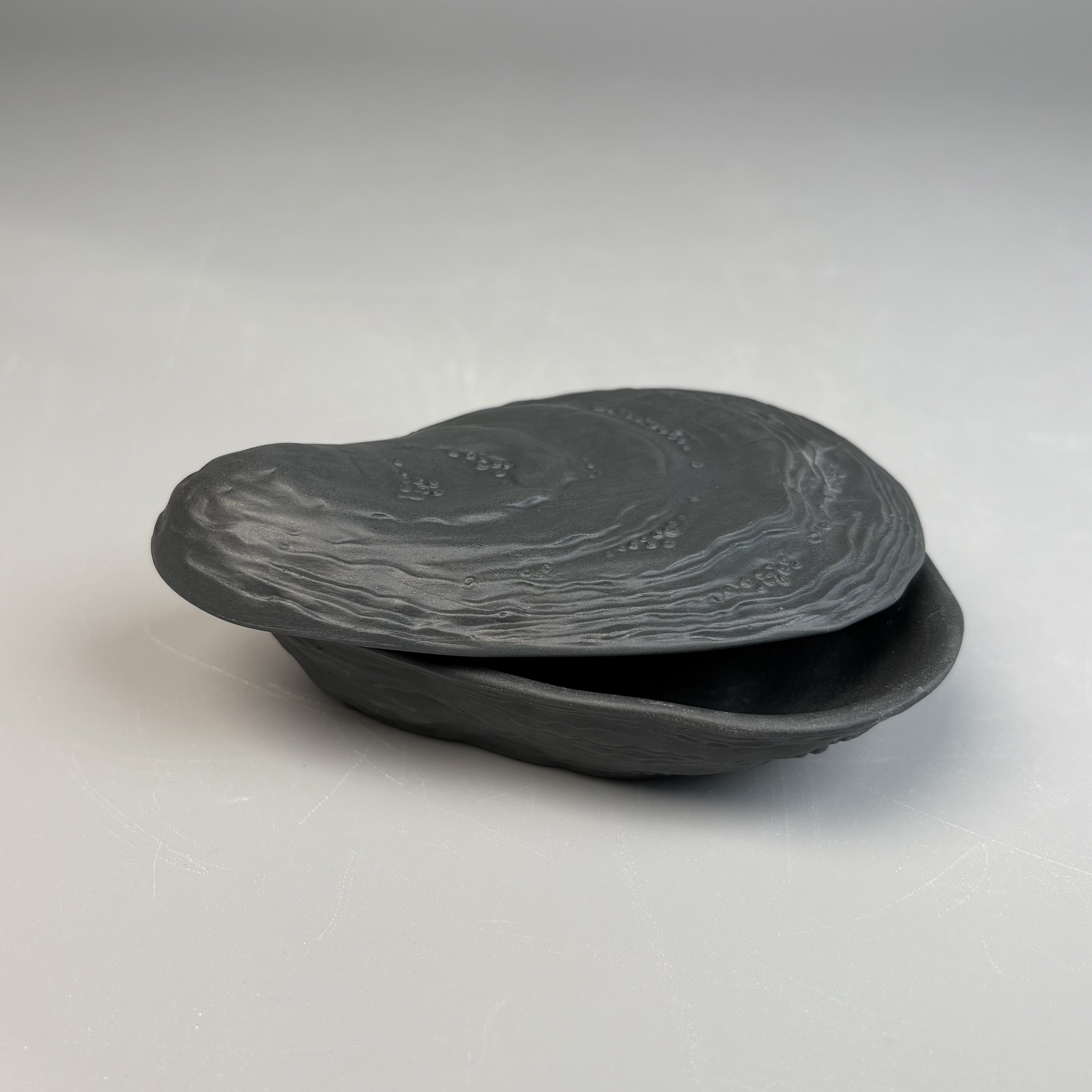 Auster-Dose, schwarz