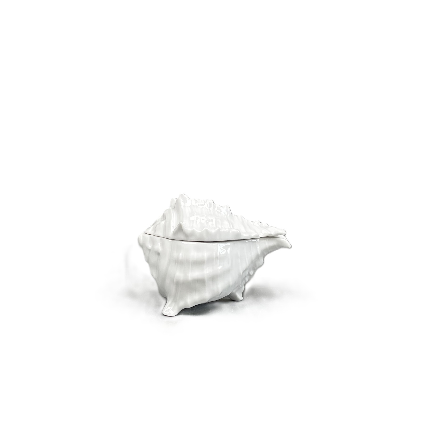 Muschelservice, Dose klein, weiß glasiert