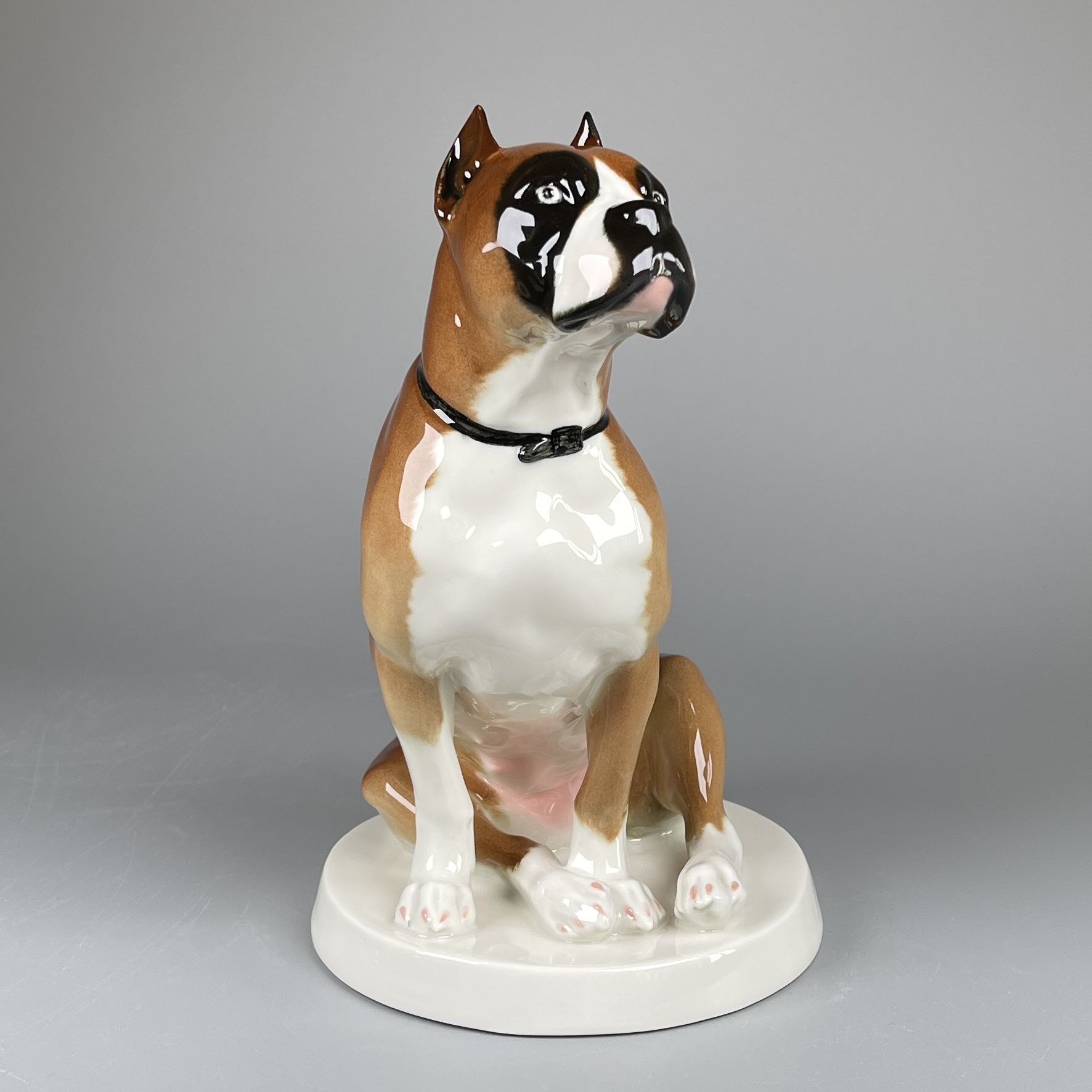 Boxer