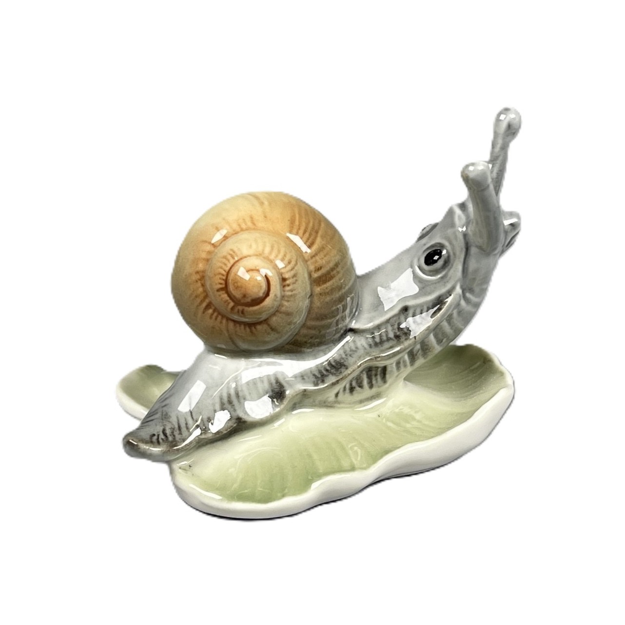 Schnecke
