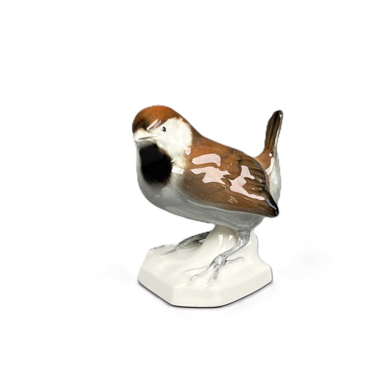 Junger Spatz