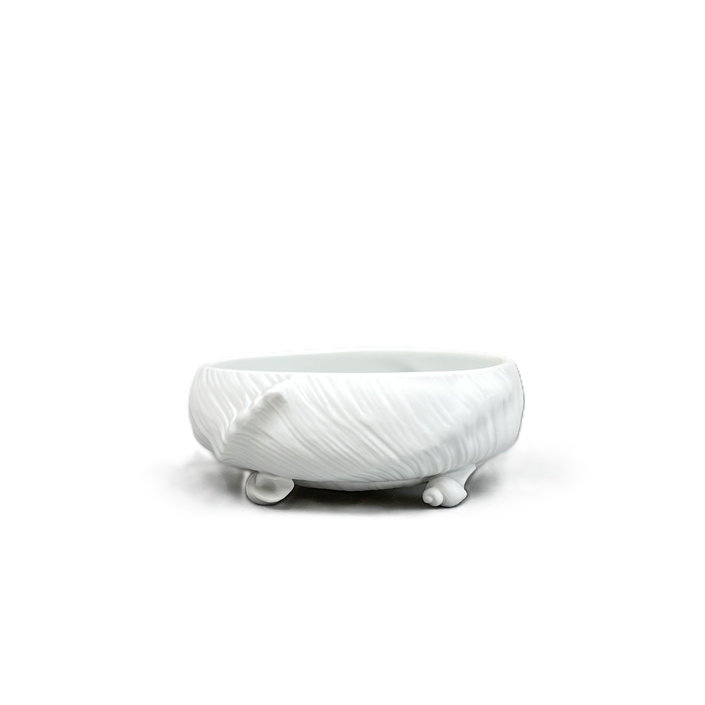 Muschelservice, Schale mit Schneckenfüßchen, teilglasiert