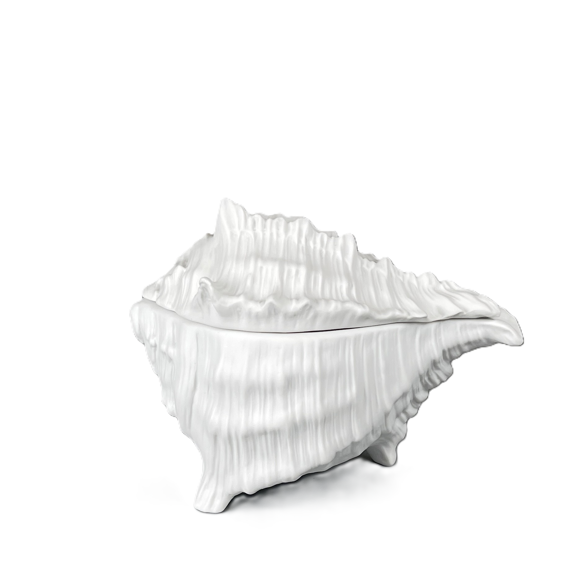 Muschelservice, Dose mit Deckel, teilglasiert