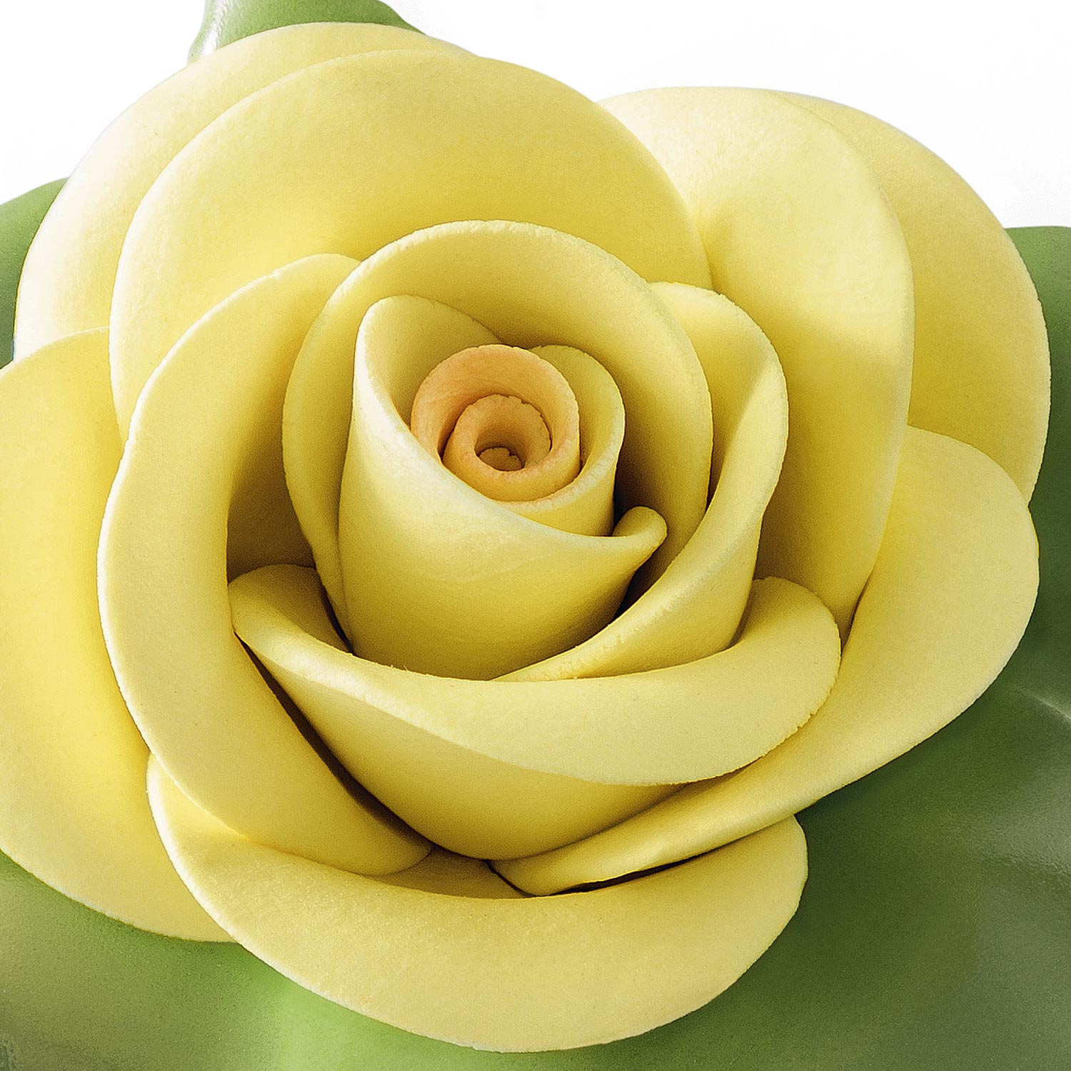 Rose (gelb)