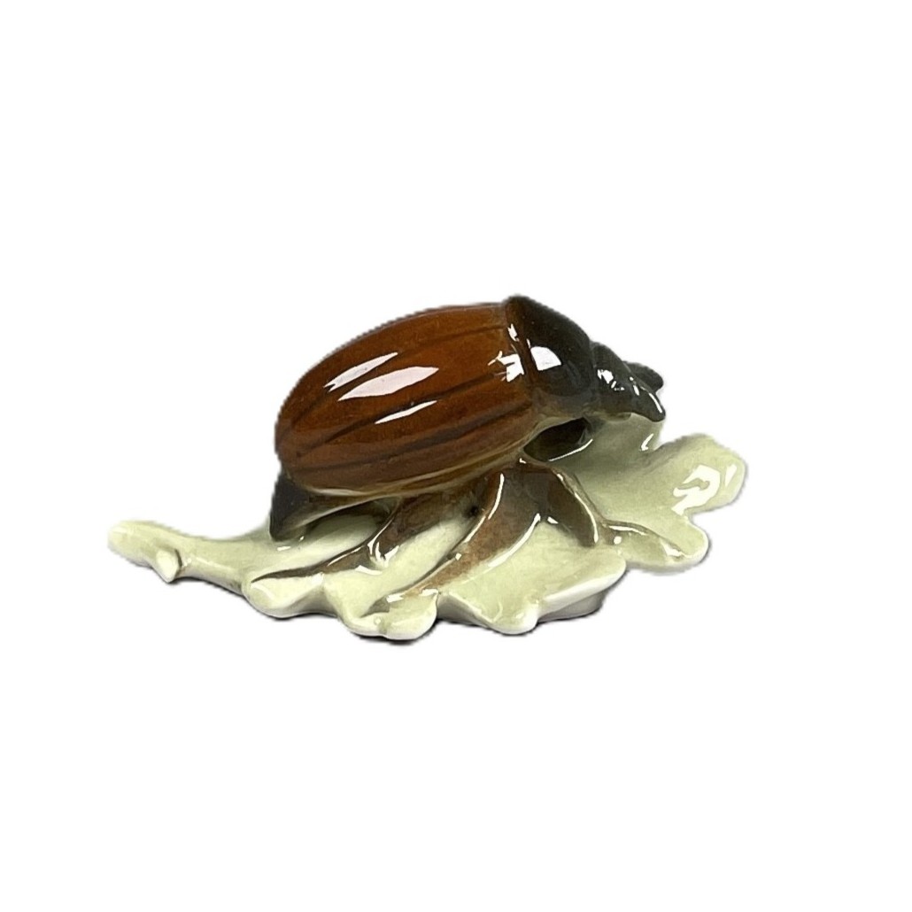 Maikäfer auf Eichenblatt