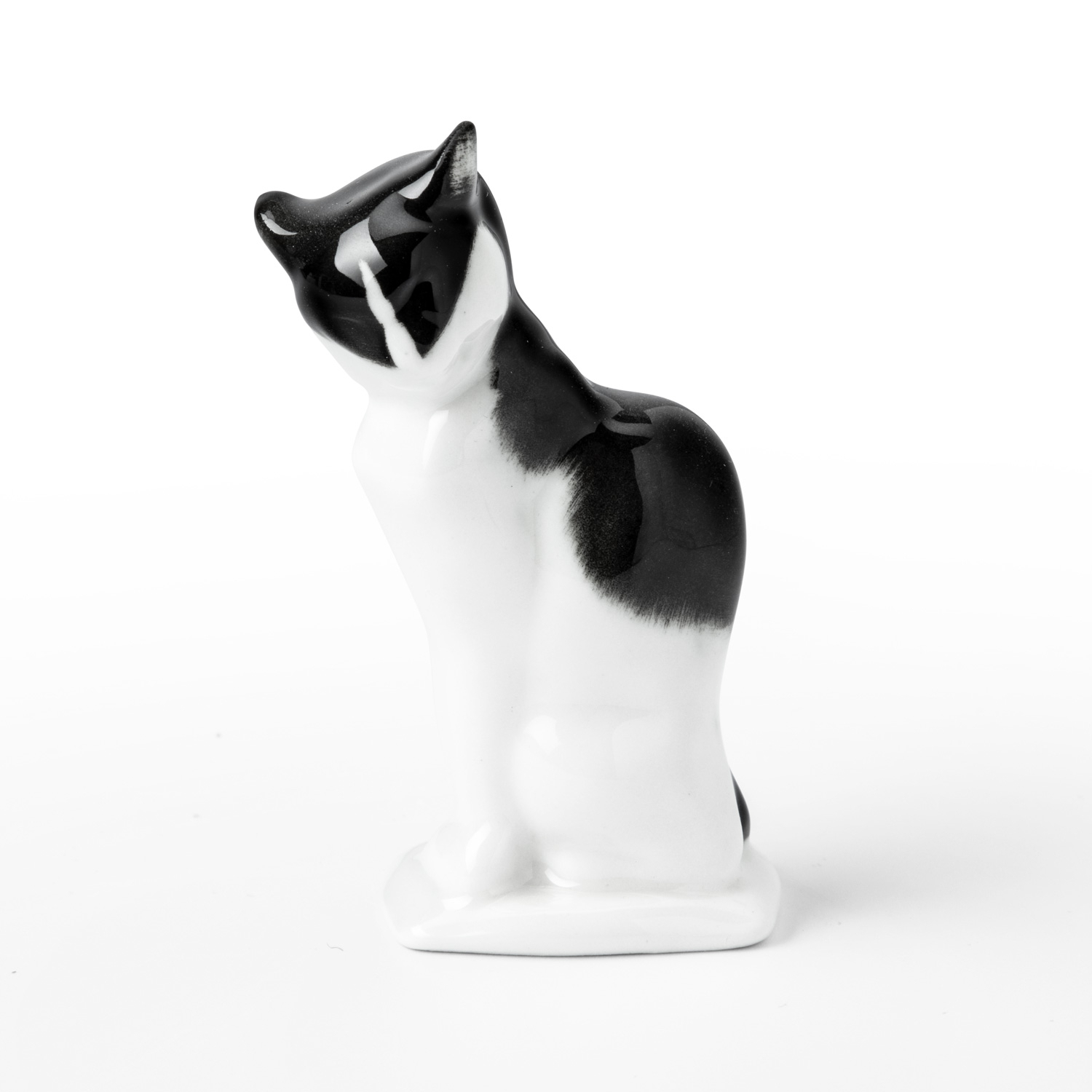 Katze Katze