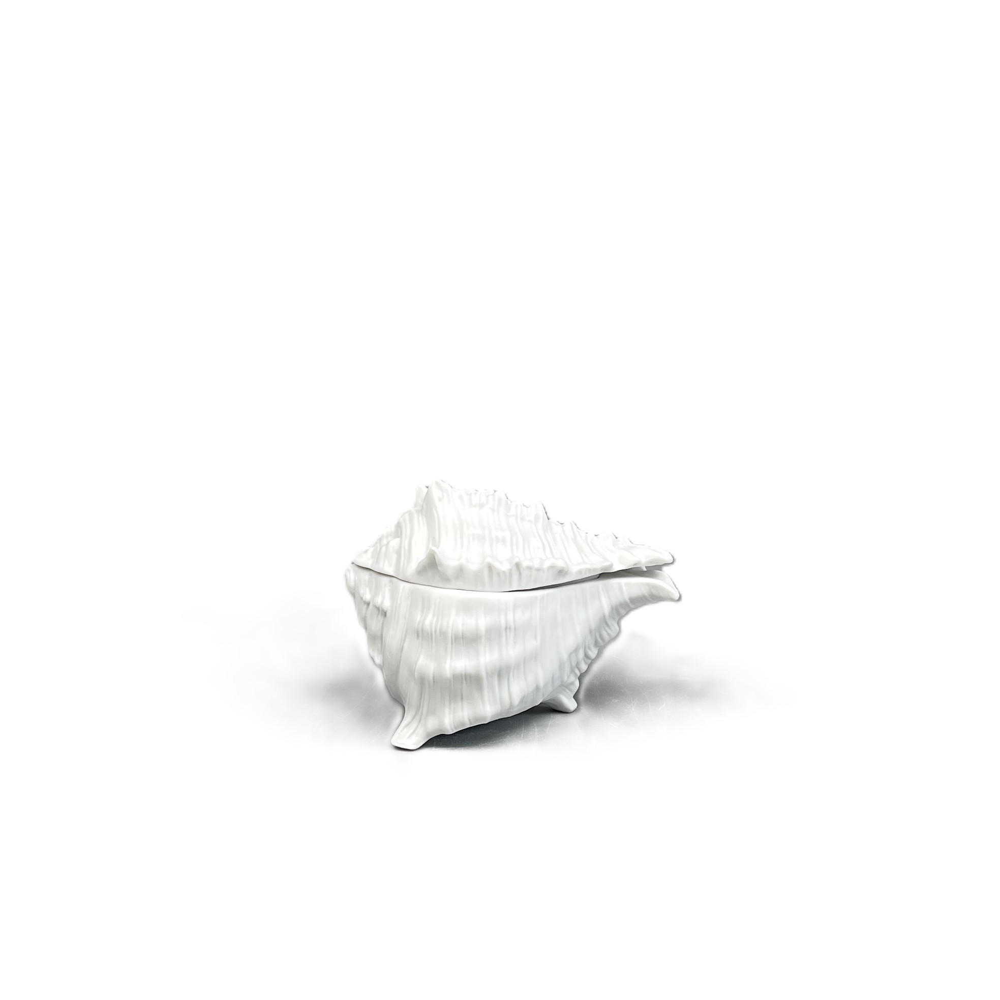 Muschelservice, Dose klein, teilglasiert