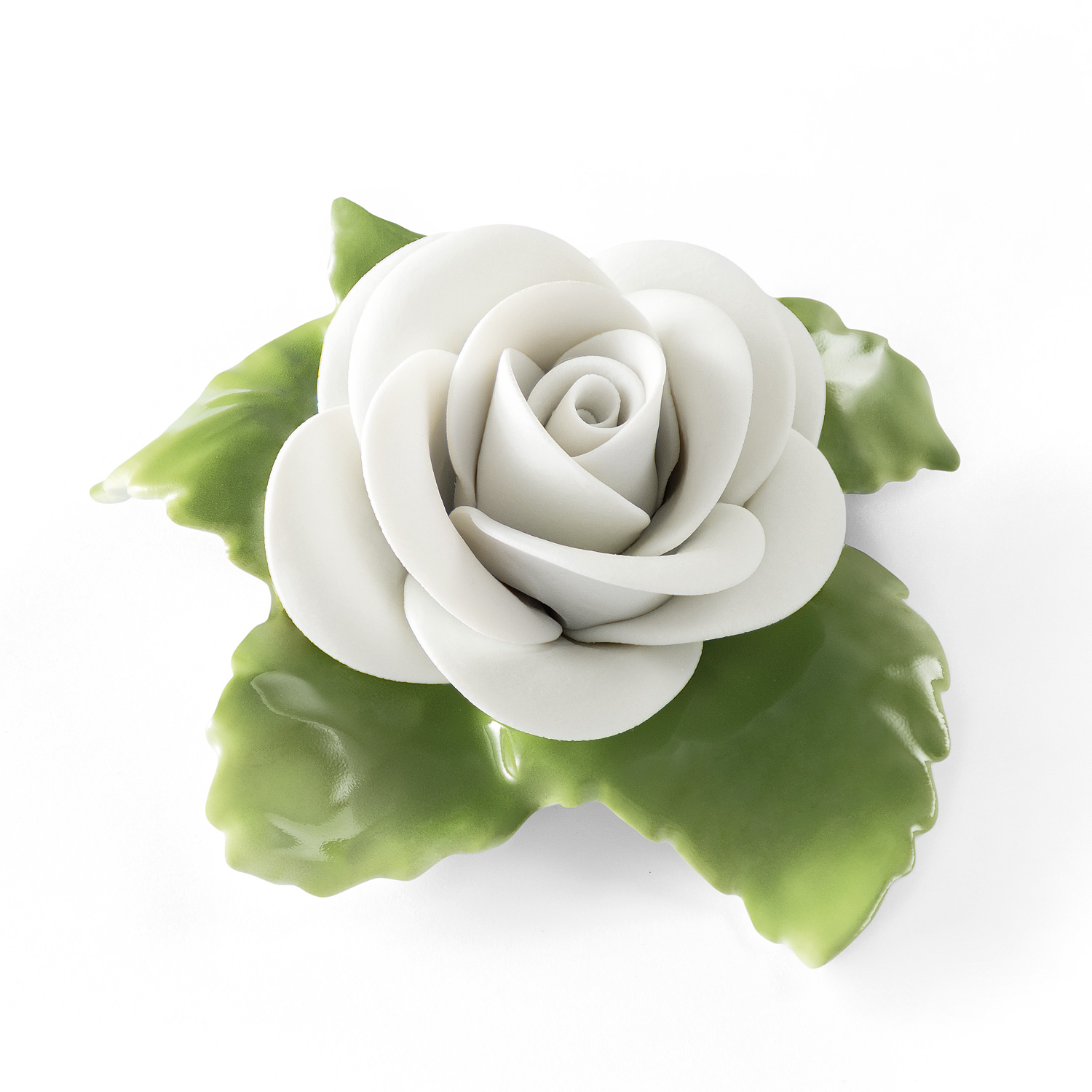 Rose (Weiss) Rose (Weiss)