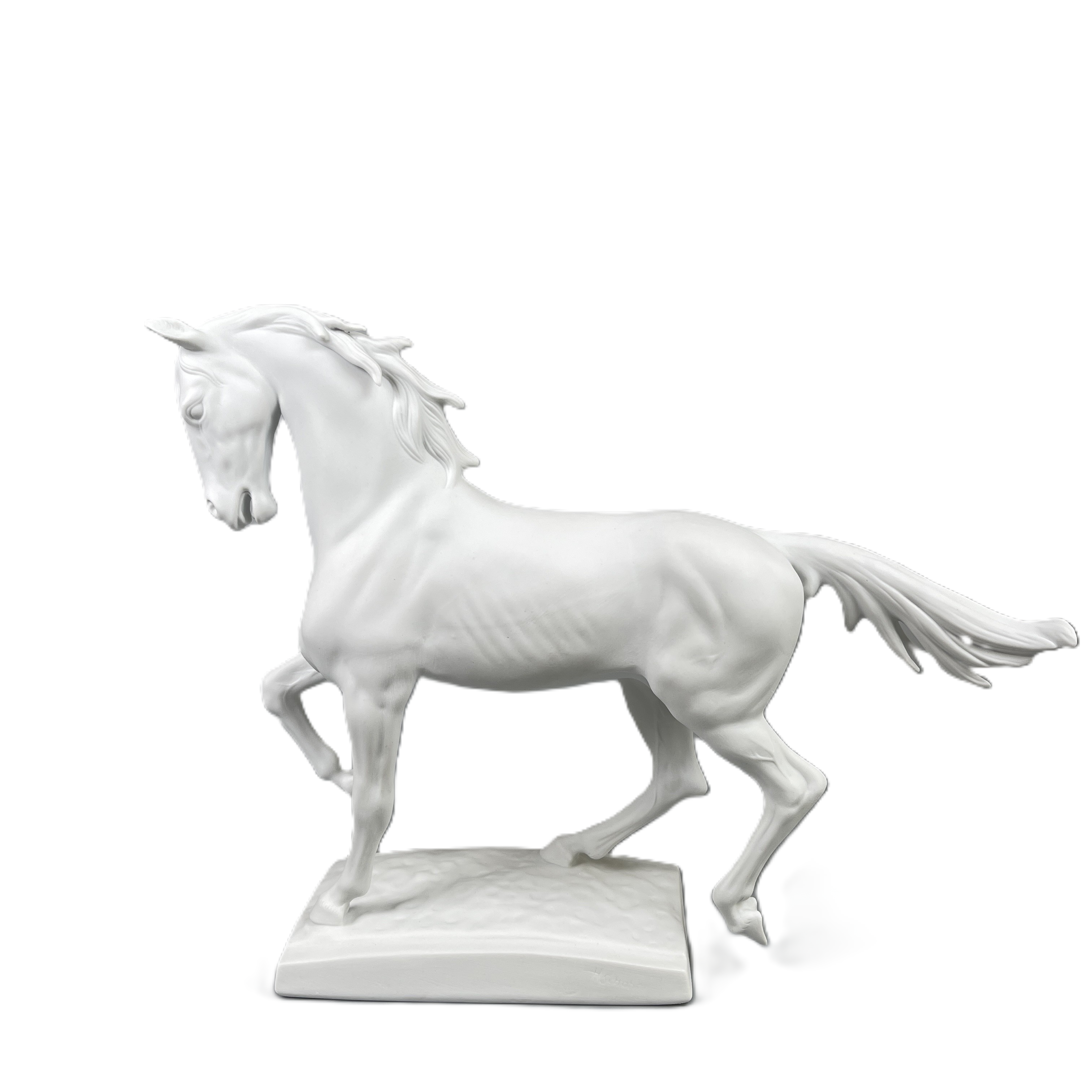Pferd
