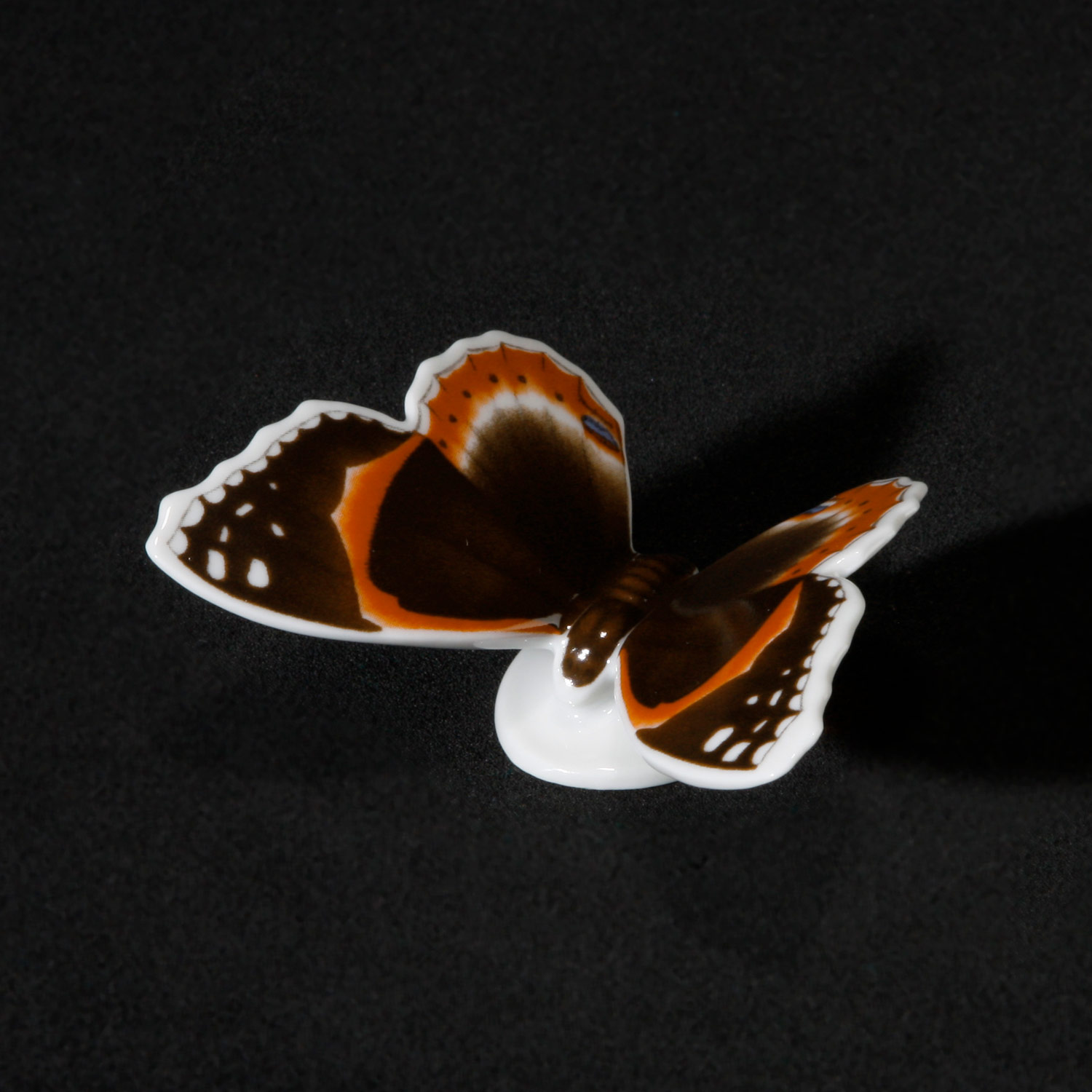 Schmetterling Admiral