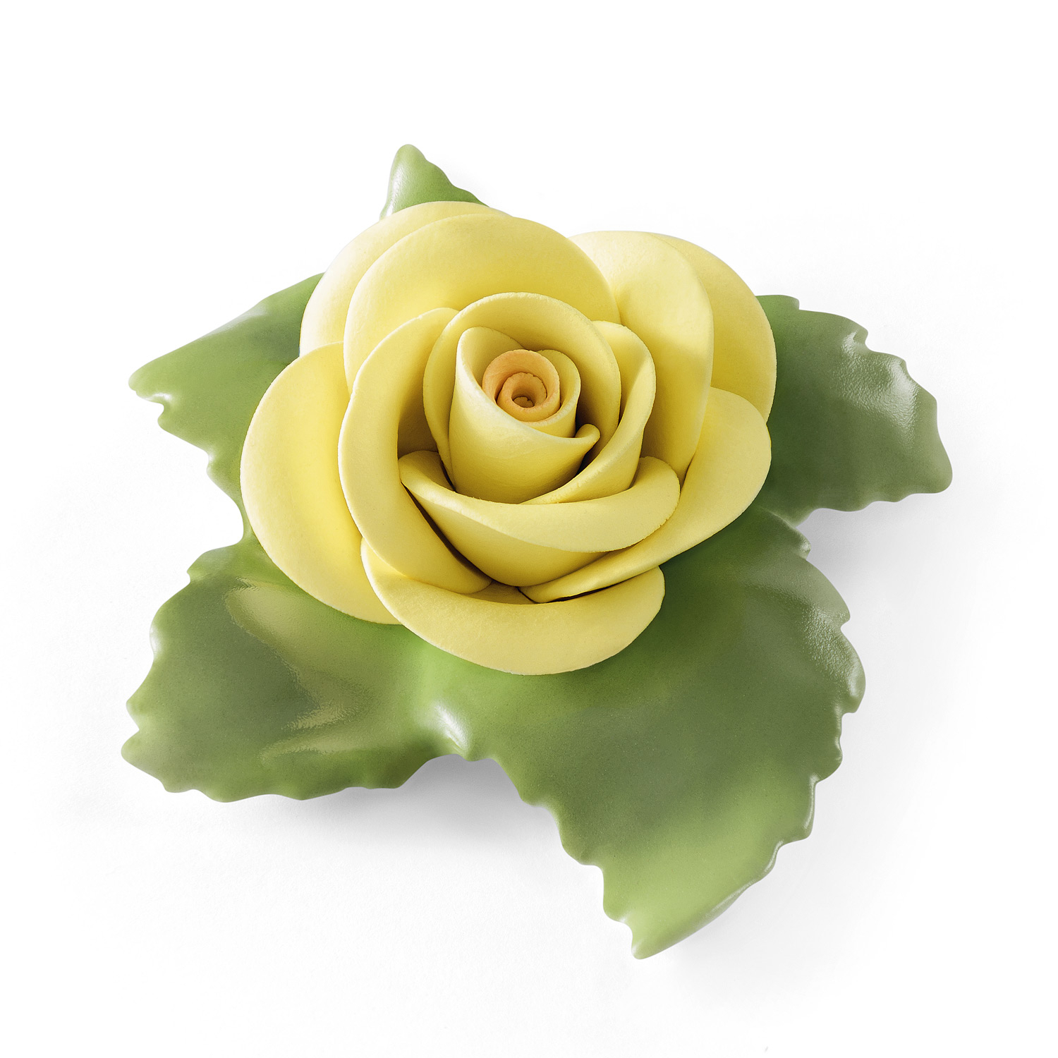 Rose (gelb) Rose (gelb)