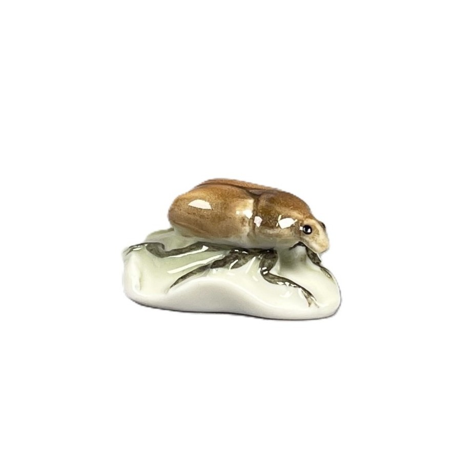 Rosenkäfer